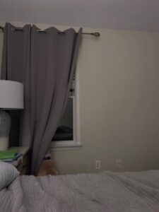 Yellow Labrador/Husky Mix