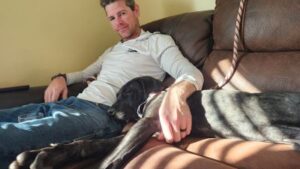 Black Lab mix