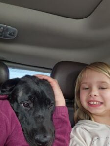 Black Lab mix