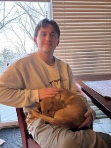 Yellow Labrador Retriever Mix