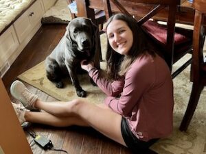 Silver Labrador Retriever