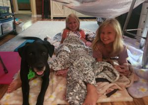 black lab mix