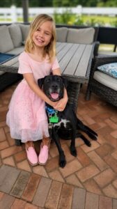Black Labrador Mix