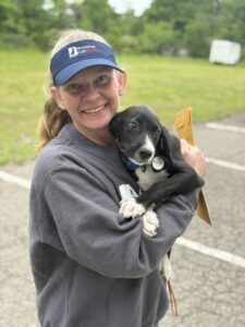 Black Labrador Mix