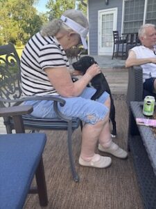 Black Labrador Mix