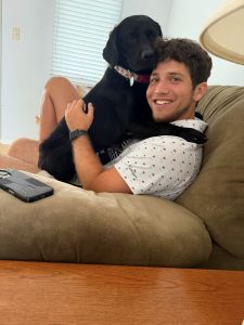 Black Labrador