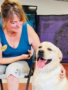 Yellow Labrador