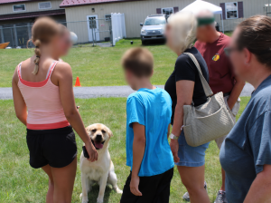 Yellow Labrador and people