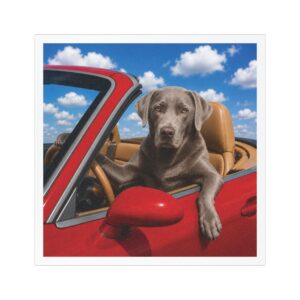 5" × 5" My Copilot Has Four Paws Silver Lab magnet featuring a realistic silver Labrador driving a red convertible beneath a bright blue sky.
