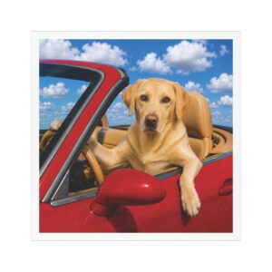 5" × 5" My Copilot Has Four Paws Yellow Lab magnet featuring a realistic yellow Labrador driving a red convertible with a blue sky background,