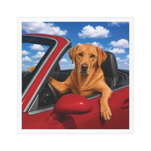 5" × 5" My Copilot Has Four Paws Fox Red Lab magnet featuring a realistic fox red Labrador driving a red convertible beneath a bright blue sky.