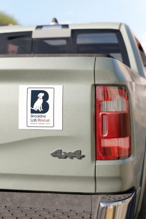 Brookline Lab Rescue 5" × 5" car magnet featuring the organization's vertical logo with a black Labrador silhouette, navy blue "B," red collar, and the words "Rescue. Foster. Love." on a white background. on a truck