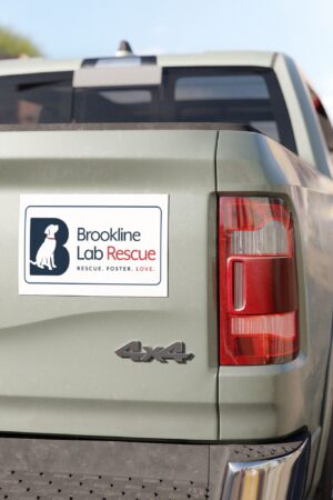 Brookline Lab Rescue 7.5 × 4.5 weather-resistant car magnet with the Brookline Lab Rescue logo on a white background. on a truck