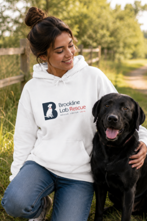 Brookline Lab Rescue Unisex Adult Pullover Hoodie