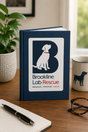 Brookline Lab Rescue hardcover journal standing on a wooden desk beside a coffee mug, plant, and stationery in a bright home office setting.