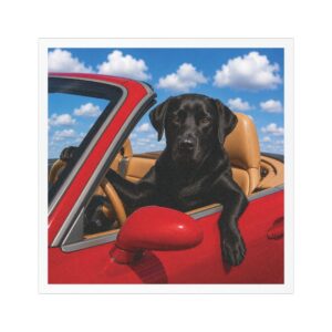 5" × 5" My Copilot Has Four Paws Black Lab magnet featuring a realistic black Labrador driving a red convertible beneath a bright blue sky.