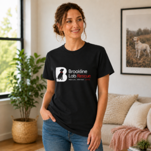 Woman wearing a black Brookline Lab Rescue unisex Gildan 64000 logo T-shirt while standing in a bright modern living room with neutral décor, featuring the official Brookline Lab Rescue logo with the Rescue. Foster. Love. message across the chest.