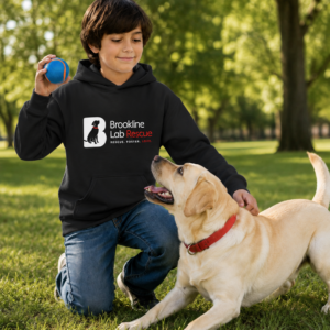 Boy wearing a black Gildan 18500B Brookline Lab Rescue hoodie while playing fetch with a yellow Labrador Retriever in a sunny park.