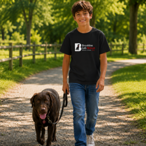 Boy wearing a black Gildan 5000B Brookline Lab Rescue youth T shirt while walking a chocolate Labrador Retriever on a tree lined trail.