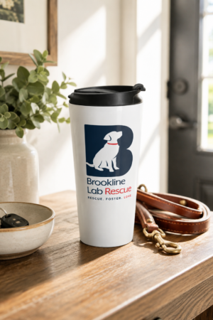 Brookline Lab Rescue 15 oz stainless steel travel mug displayed on a wooden entryway table beside a leather dog leash, house keys, and a ceramic bowl, with warm natural light streaming through the front door.
