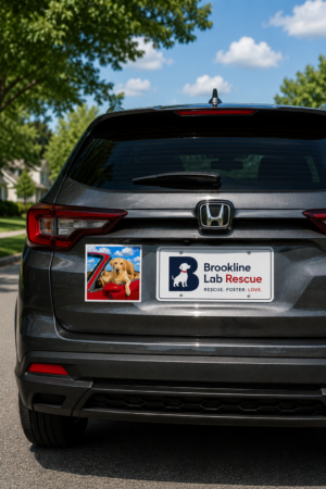 Labrador Auto Accessories