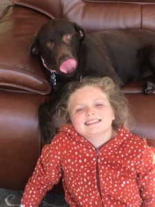 Chocolate Labrador Retriever and girl