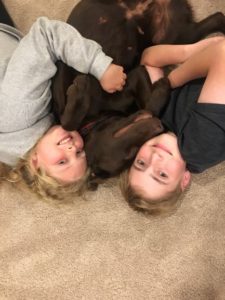 Chocolate Labrador Retriever and girl and boy