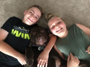 two kids and Chocolate Labrador Retriever