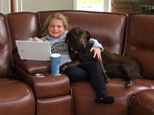 Chocolate Labrador Retriever and girl on sofa