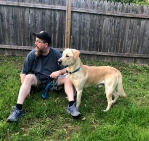 yellow Labrador Retriever and man