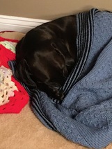 black Labrador Retriever sleeping