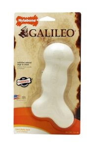 Galileo bone