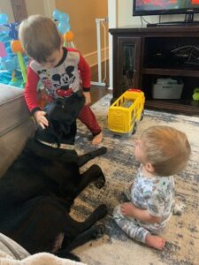 black Labrador Retriever and kids