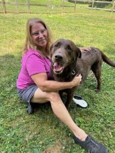 Chocolate Labrador Retriever