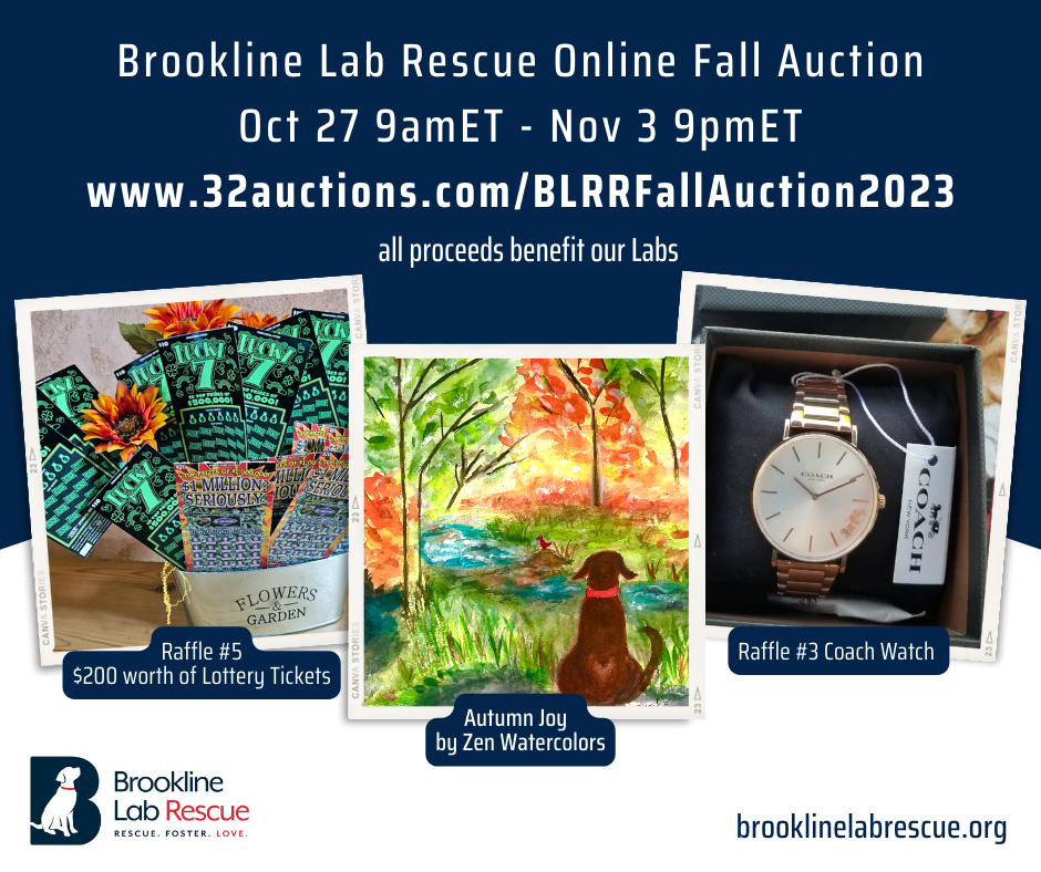 Fall Online Auction benefitting BLRR Labs