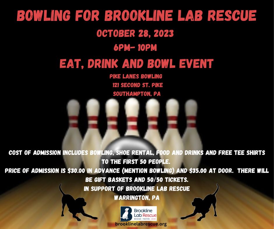 bowling for brookline flyer