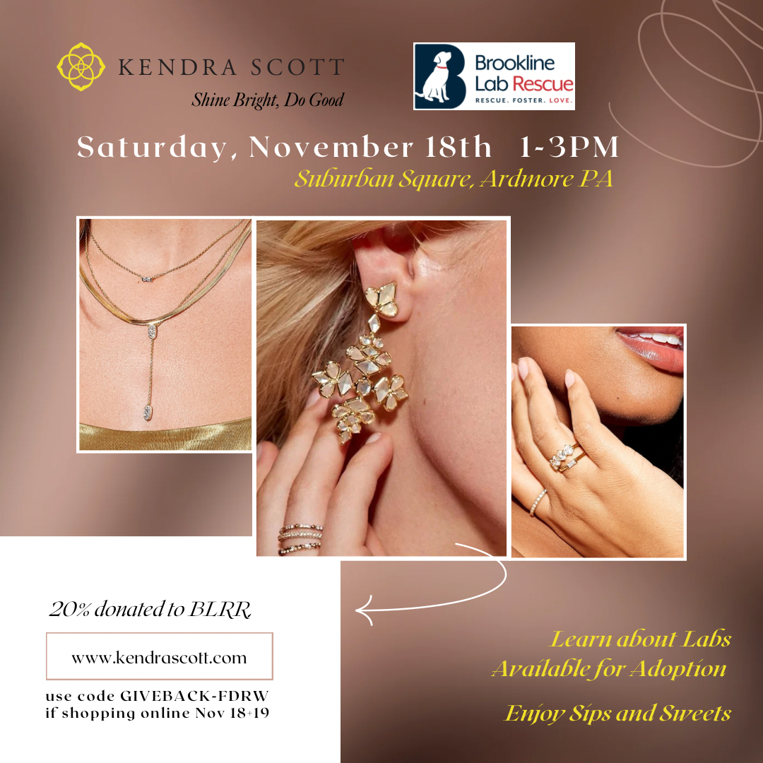 Kendra Scott in store and online fundraiser for BLRr