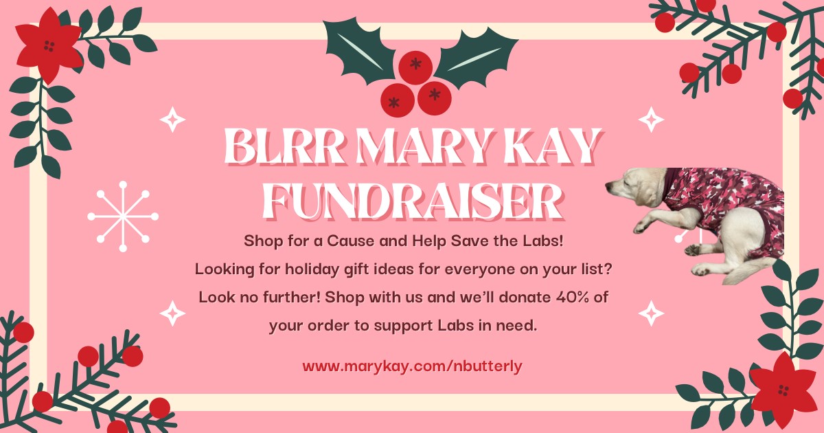 Mary Kay cosmetic fundraiser