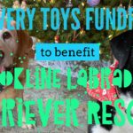 BLRR fundraiser with Discovery Toys