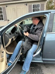 Black Labrador Retriever