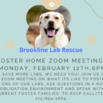 Foster Homes Needed Zoom Meeting