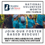 National Volunteer Month - solicit more volunteers for Brookline