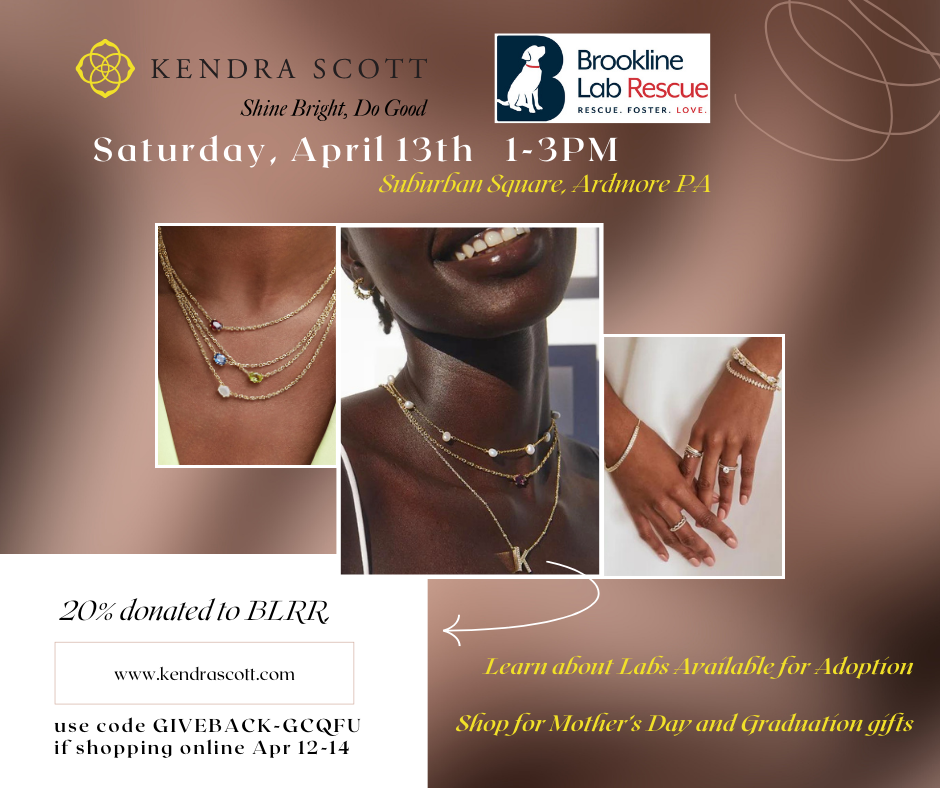 Jewelry fundraiser Kendra Scott Ardmore PA