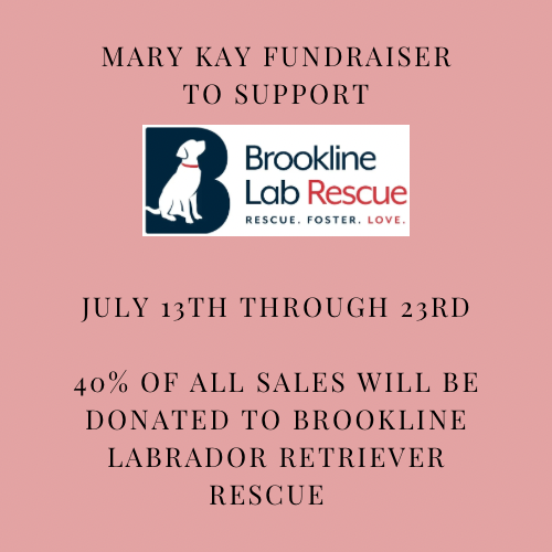 Mary Kay fundraiser with 40% of sales benefitting BLRR