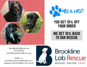 Max and Neo, a supplier of high-quality collars, leashes, harnesses, dog accessories, treats, supplements, and more, has been supporting rescues since 2015. Brookline Lab Rescue is now a member of their Rescue Ambassador Program. If you shop using this link https://maxandneo.com/brooklinelabrescue and enter the coupon code brooklinelabrescue10 at checkout, you will receive 10% off your order and Brookline will receive a 10% credit from Max and Neo.