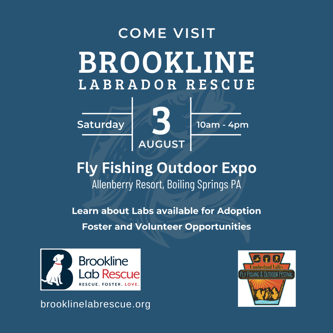 Fly Fishing Outdoor Festival - BLRR flyer
