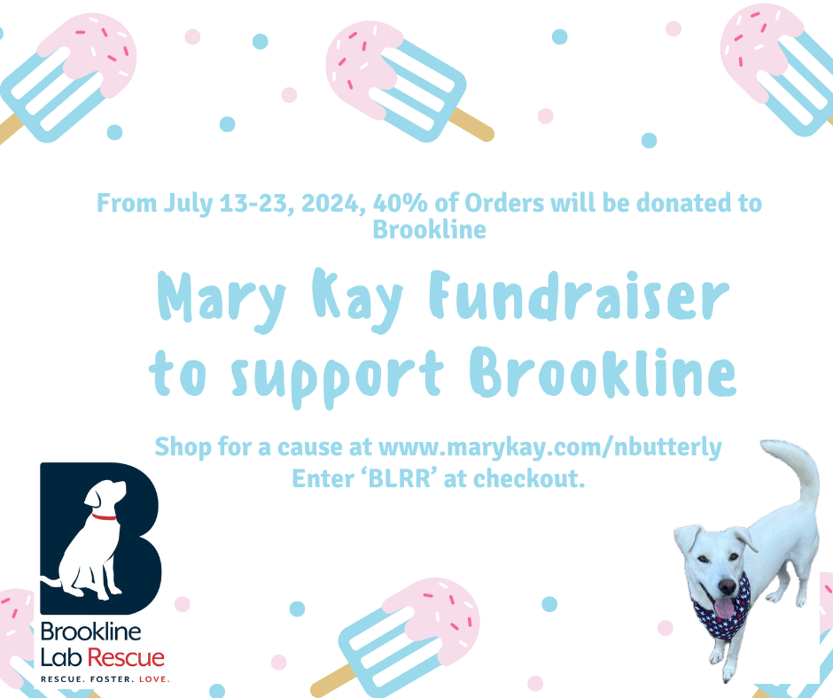 Mary Kay fundraiser for BLRR July 2024 online