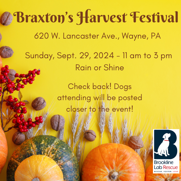 Braxton's Animal Works Adoption Event Fall Harvest Festival