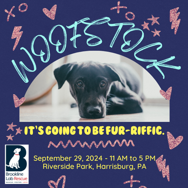 Woofstock Pet Festival Harrisburg