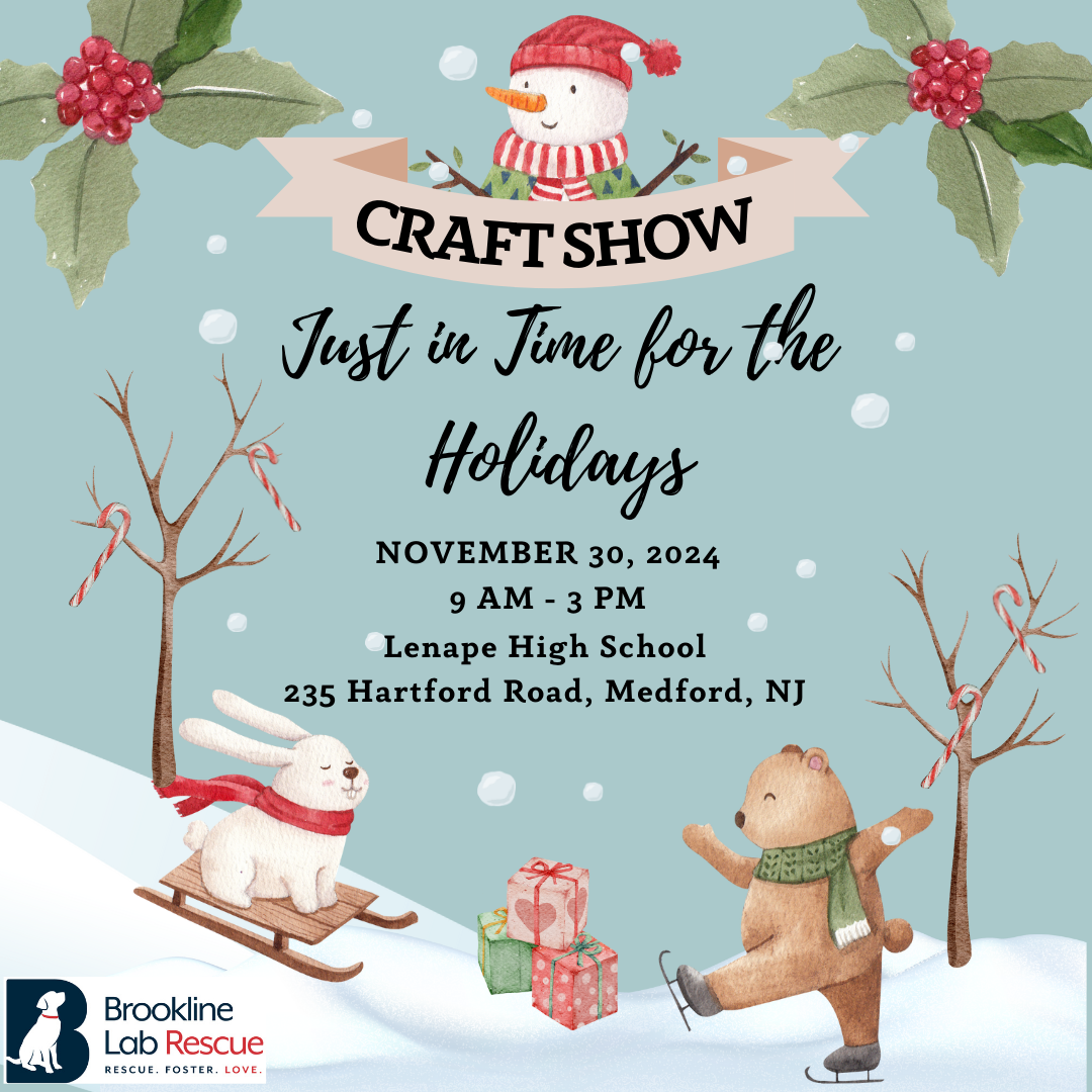 holiday craft fair, handmade dog accessories